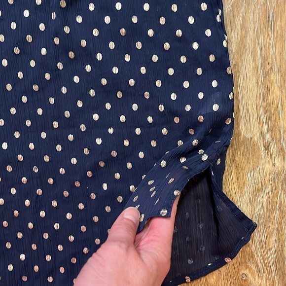 Aerie Navy & Gold Polka Dot Blouse Top Sheer Button Up Size XL EUC Collared - Picture 4 of 13